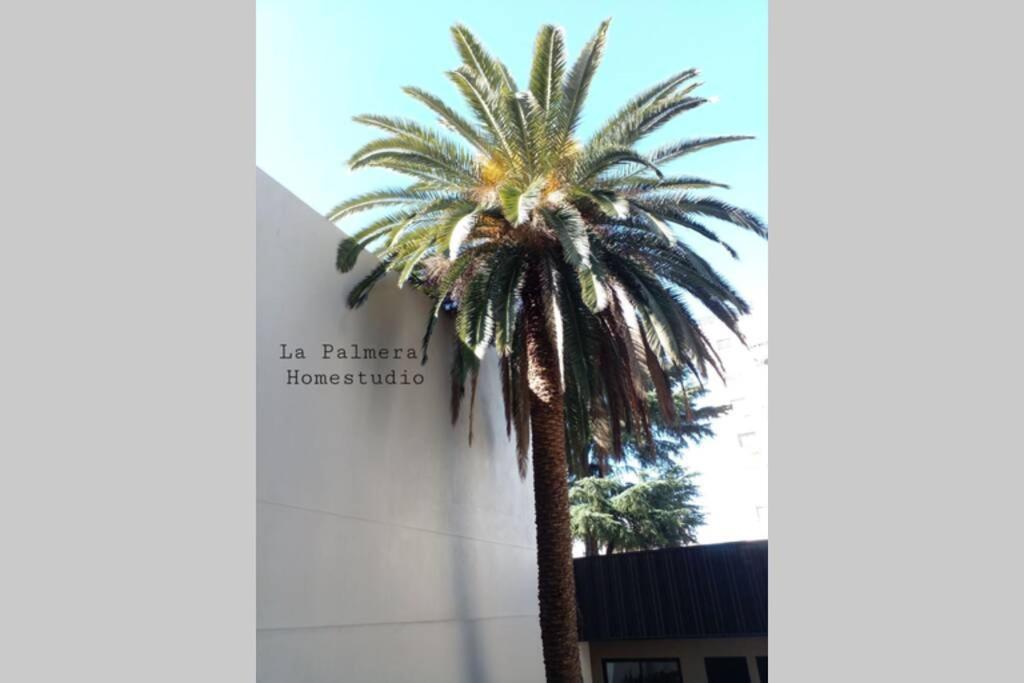 La Palmera Homestudio. Hermoso Apartamento En El Corazon De Palermo Hollywood Буенос-Айрес Екстер'єр фото